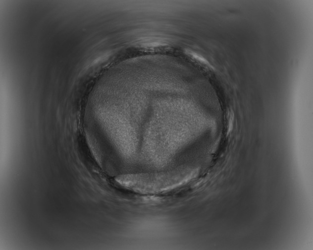 X0000086770965200705041505