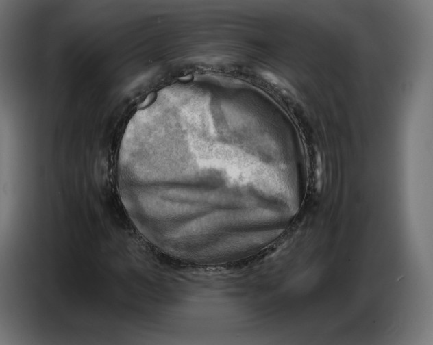 X0000086770966200705041505