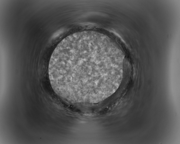 X0000086770967200705041505