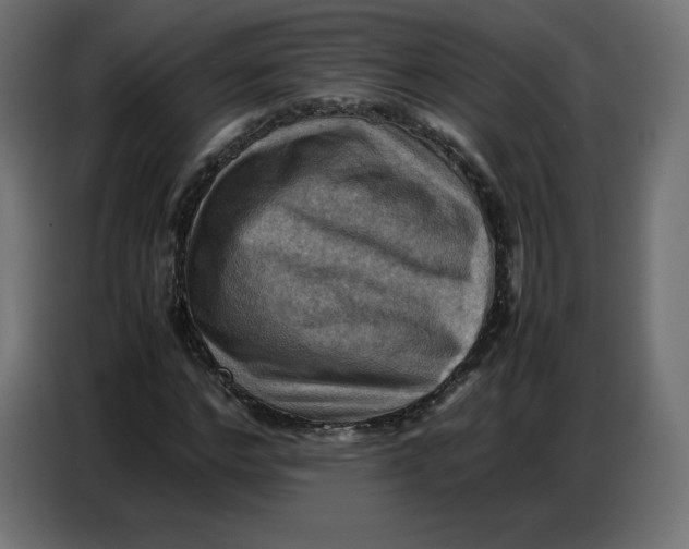 X0000086770968200705041505