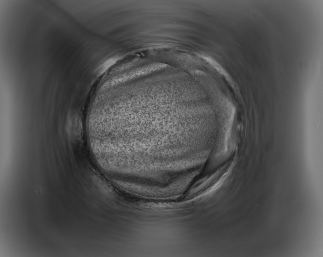 X0000086770969200705041505