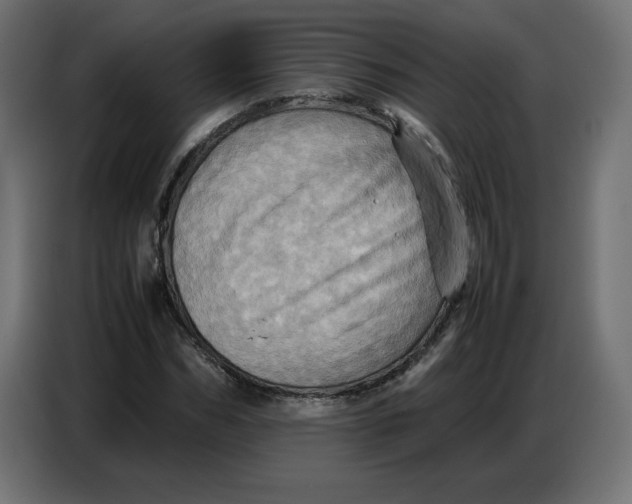 X0000086770970200705041505