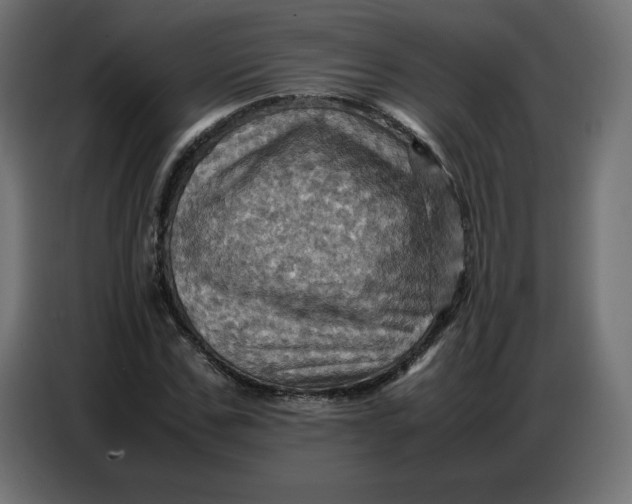 X0000086770971200705041505