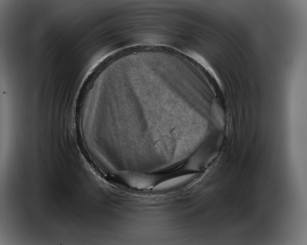 X0000086770972200705041505