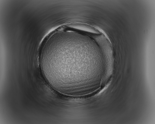 X0000086770973200705041505