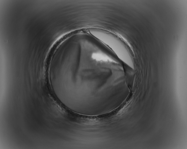 X0000086770975200705041504