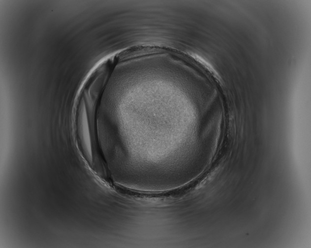 X0000086770976200705041504