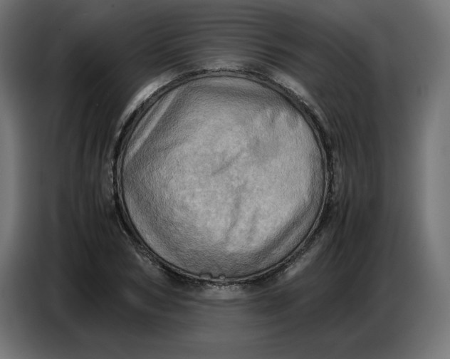 X0000086770978200705041504