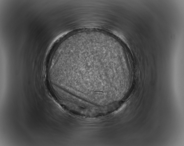 X0000086770979200705041504