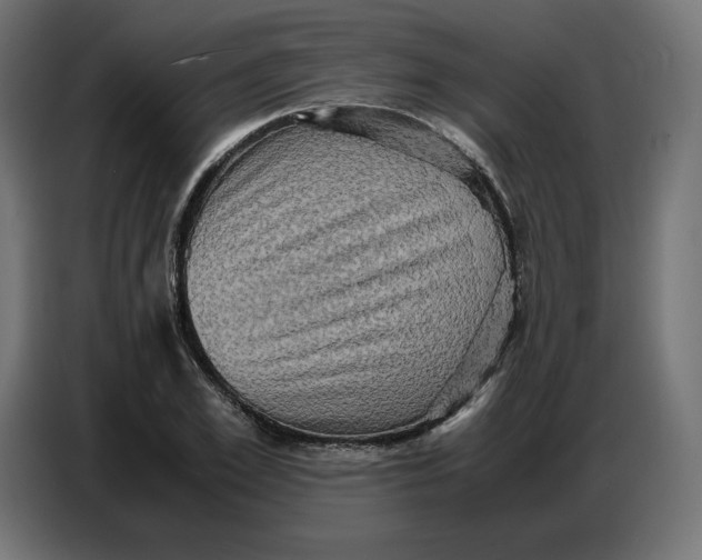 X0000086770981200705041504