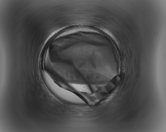 X0000086770983200705041504