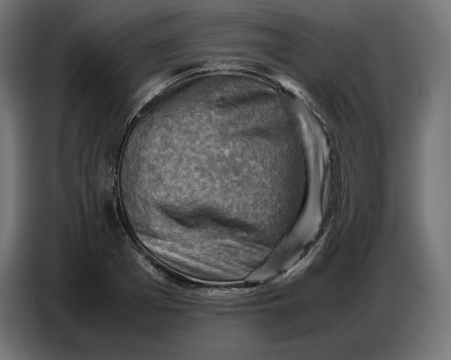 X0000086770985200705041504