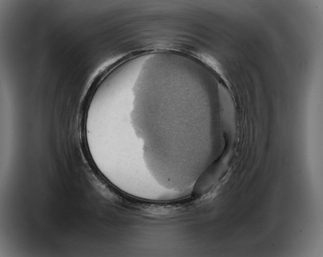 X0000086770987200705041504