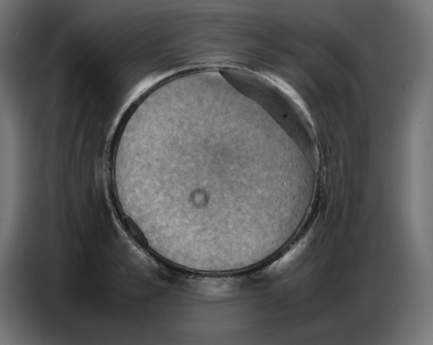 X0000086770989200705041504