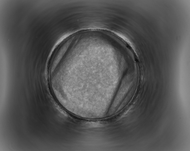 X0000086770990200705041504