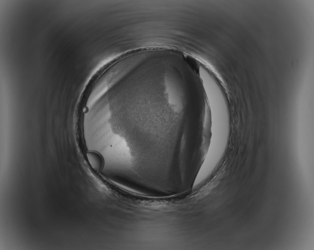 X0000086770991200705041504