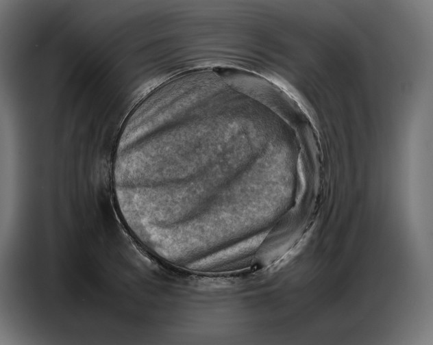 X0000086770993200705041504