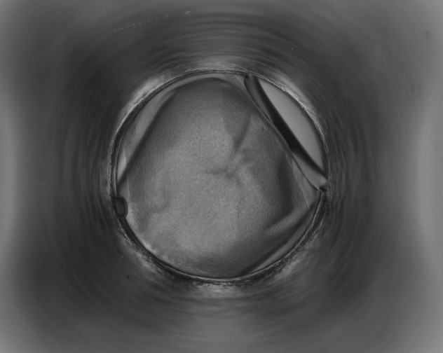 X0000086770994200705041504
