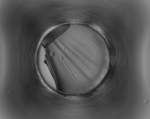 X0000086770995200705041504