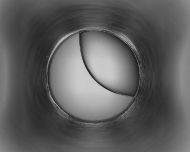 X0000086770996200705041504