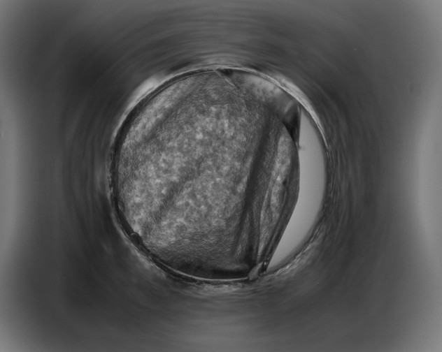 X0000086770997200705041504