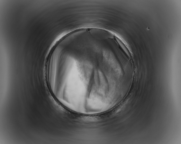 X0000086770998200705041504