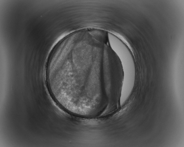X0000086770999200705041504