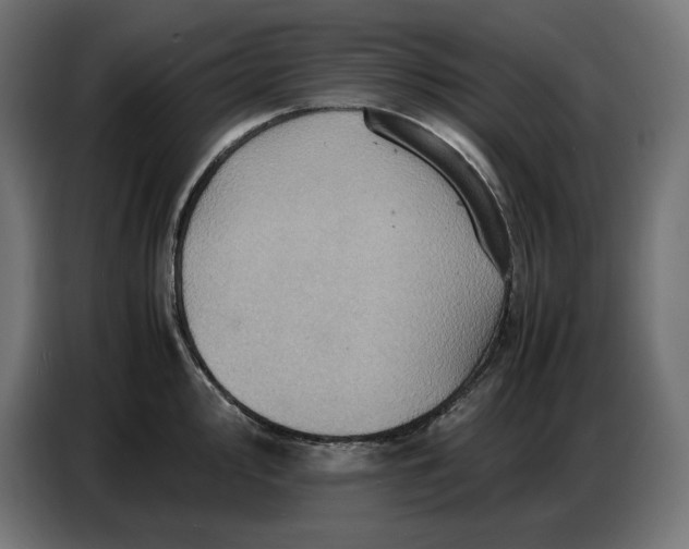 X0000086771000200705041504