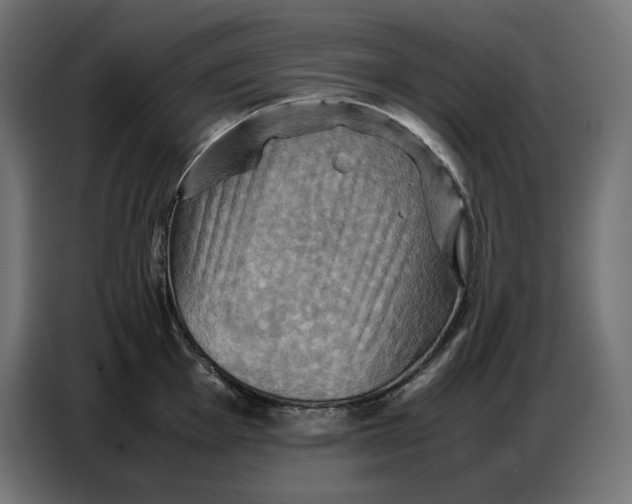 X0000086771001200705041504