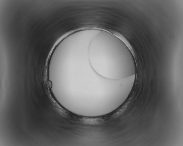 X0000086771004200705041504