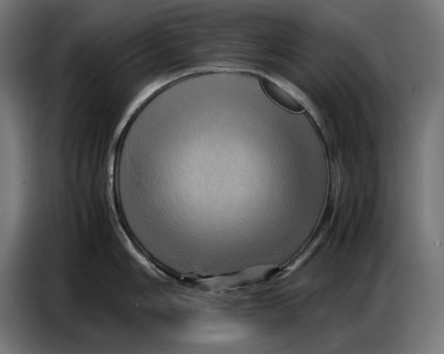 X0000086771006200705041504