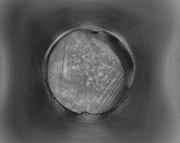 X0000086771008200705041504