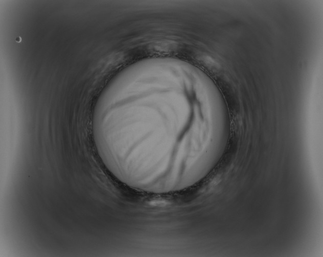 X0000086771009200705041503