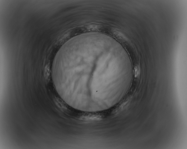 X0000086771011200705041503