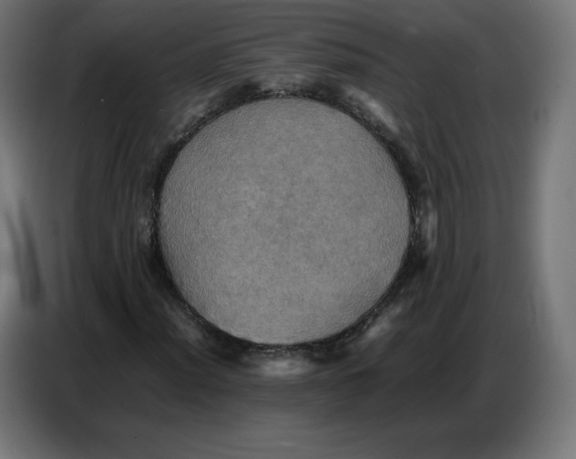 X0000086771012200705041503