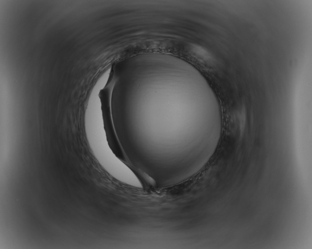 X0000086771013200705041503