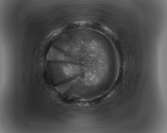 X0000086771014200705041504