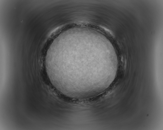 X0000086771016200705041504