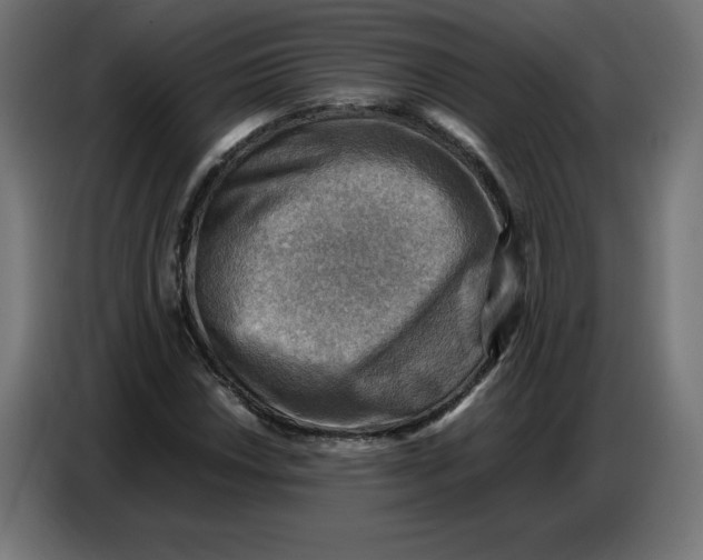 X0000086771018200705041504