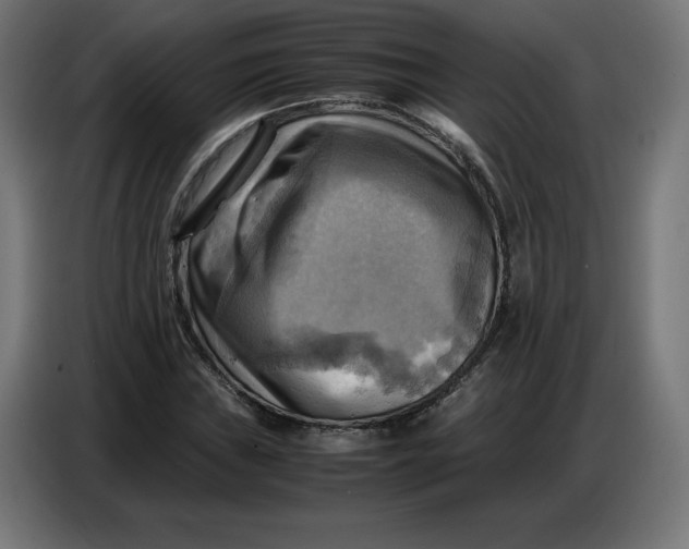 X0000086771019200705041504