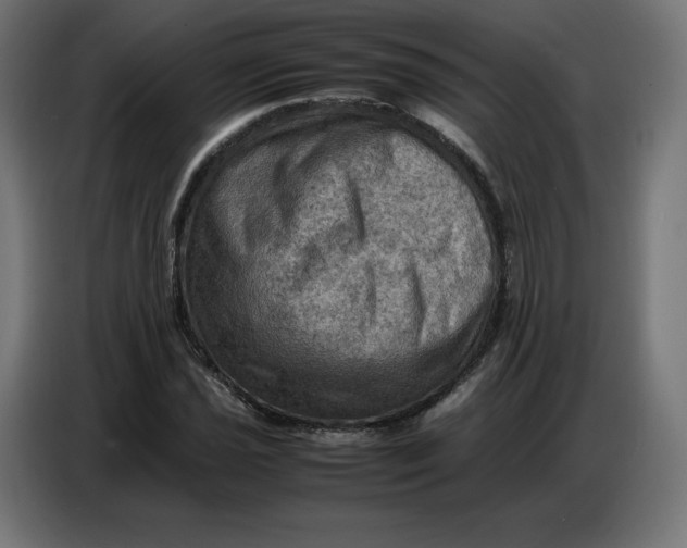 X0000086771021200705041504