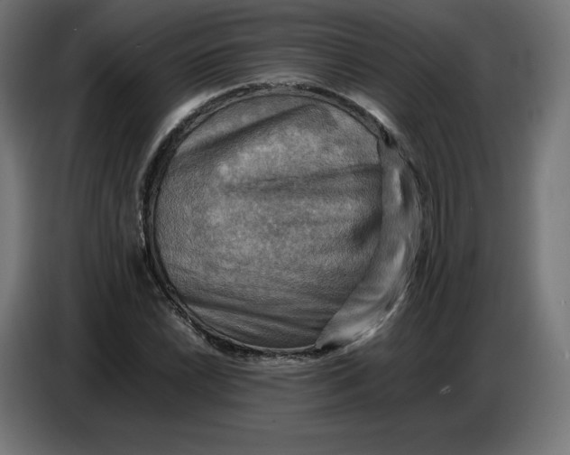 X0000086771022200705041504