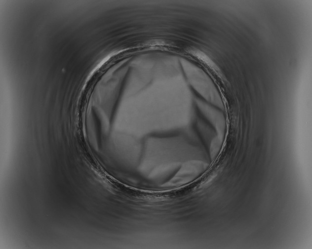 X0000086771023200705041504