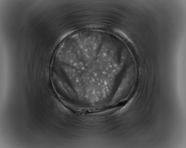 X0000086771025200705041504