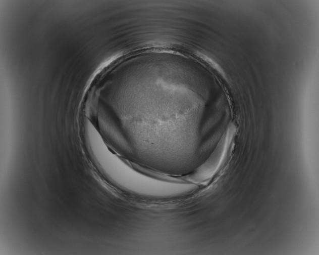 X0000086771026200705041504