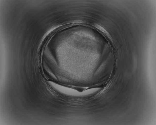 X0000086771027200705041504