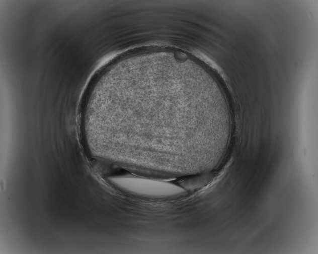 X0000086771029200705041504