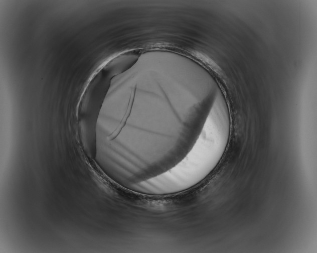 X0000086771031200705041504