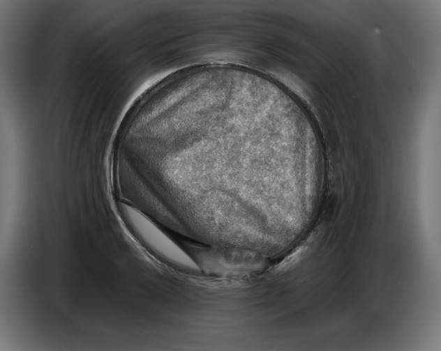 X0000086771032200705041504