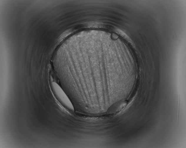 X0000086771033200705041504